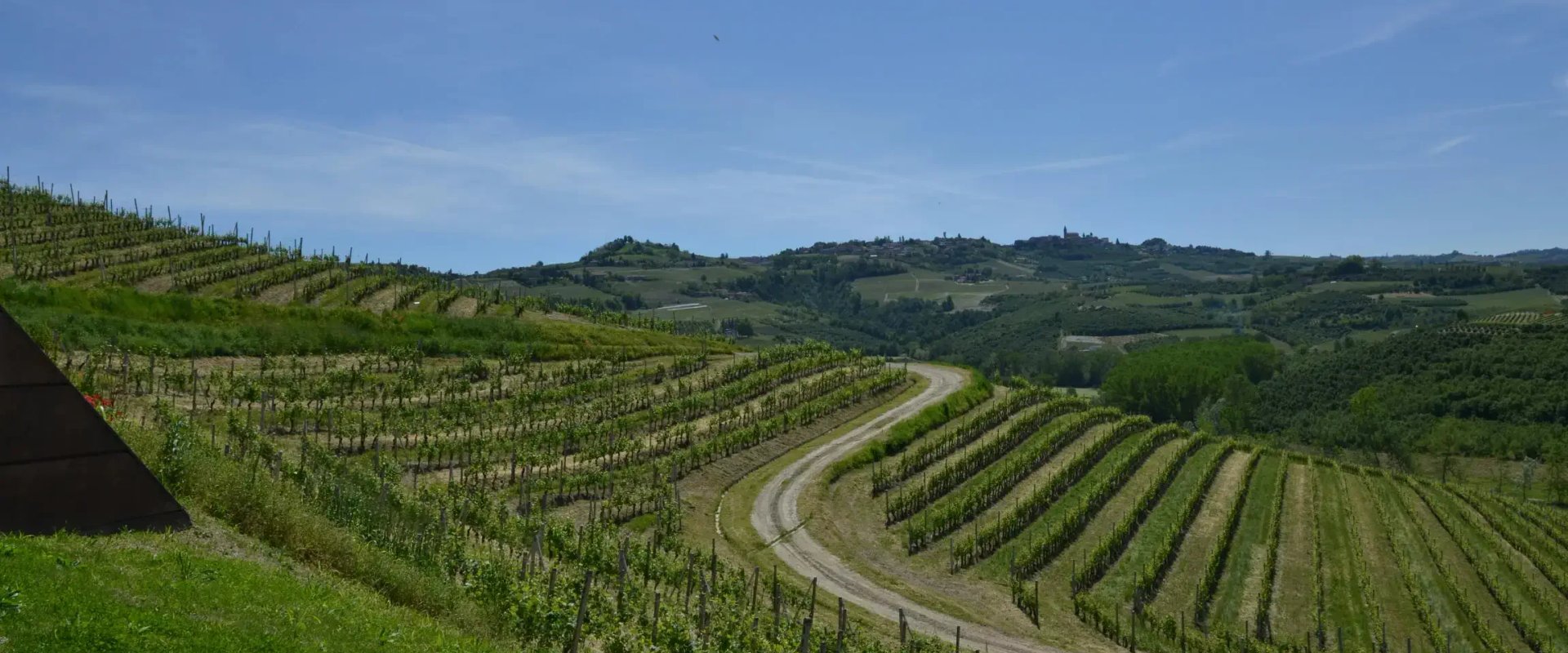 Wine Country landscape background behind the quote section