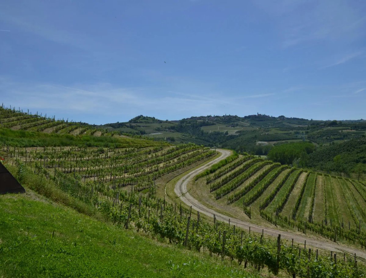 Giovani Contreras, owner and developer at Redwood Rocket Web Design